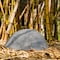 Gardenised Outdoor Natural Artificial Round Rock Decor for Gardens, Lawns, and Landscapes QI004479 - alternate 7
